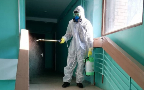 «Исход один – смерть»: опасная болезнь может стать причиной серьезного карантина в пензенском регионе