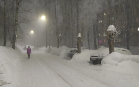 Мороз до -30: синоптики озвучили прогноз для региона
