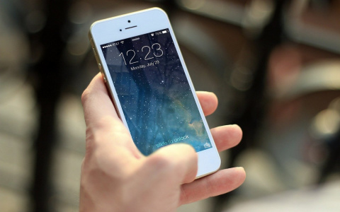 «Не знал значения»: пензенца оштрафуют за картинку в социальной сети