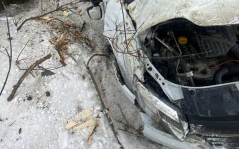 Вылетел с трассы: под Пензой произошла жесткая авария