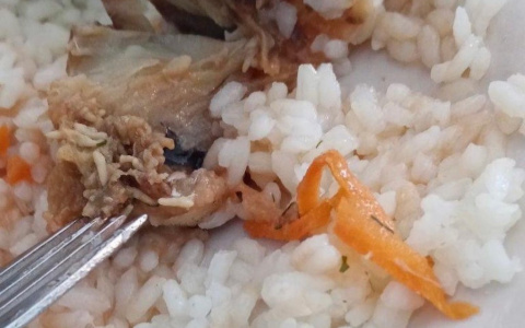 «Кошмар!»: в Пензе детей в школе накормили опарышами