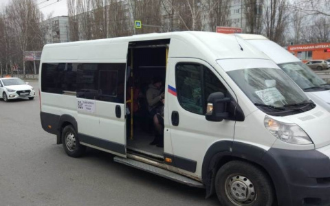 "Послал всех матом и выгнал из салона": пензячка рассказала о неадекватном водителе маршрутки