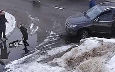 «Летел со скоростью света»: пензенец насмерть сбил хаски