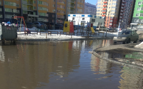 Лужа размером с село: как Засечное становится болотом