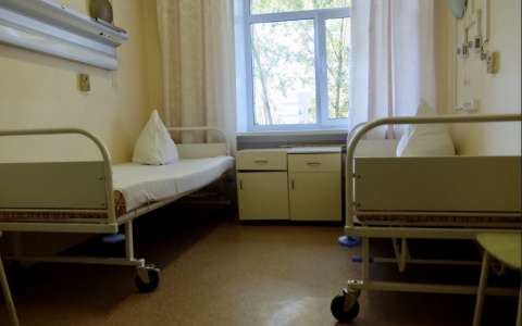 В Пензенской области от коронавируса погибли четыре человека