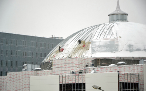 Стала известна судьба пензенского цирка после ареста Белозерцева