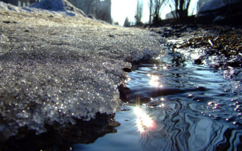 Пензенцев предупредили, какую заразу они могут подхватить весной