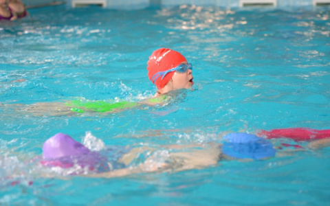 В Спутнике 6-летние пловцы поучаствовали в празднике спорта