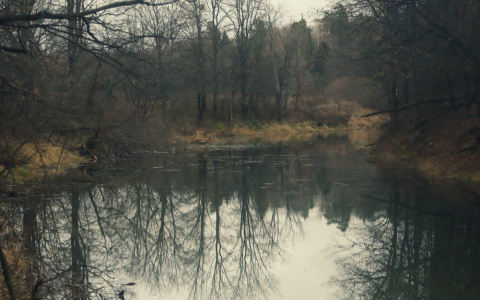 В полиции сообщили подробности смерти 20-летнего пензенца