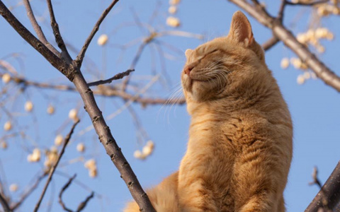 «Выше 20 градусов»: синоптики удивили прогнозом погоды в регионе