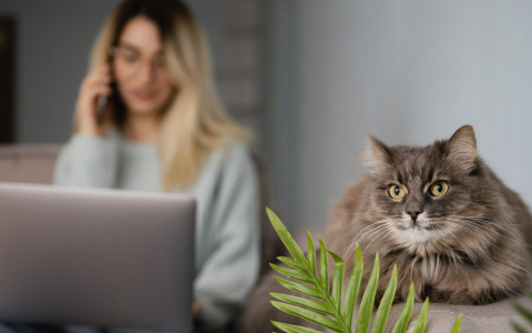 Гороскоп на 14 апреля: кого ждут проблемы, а кому улыбнется удача