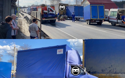 "ДТП с трупом": в Пензенской области произошла страшная авария