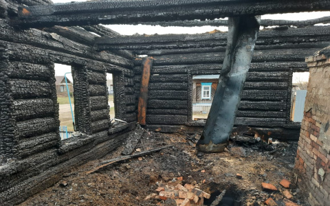 Названа причина пожара, в котором погибли три жителя Пензенской области