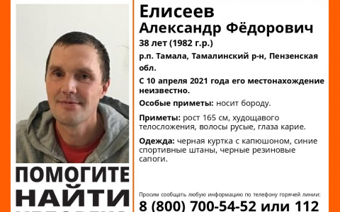 В Пензенской области пропал мужчина с бородой