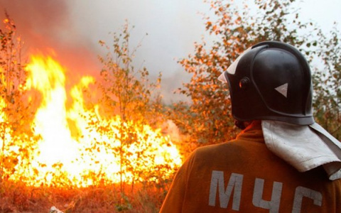 Стало известно о четырех погибших в ночных пожарах в Пензенской области