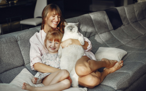 На квартиры холдинга «Термодом» ипотека – от 2,05% годовых