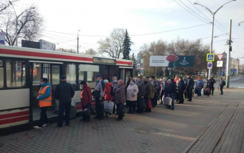 Дачный сезон начался в Пензе