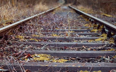 В Пензенской области поезд насмерть сбил мужчину
