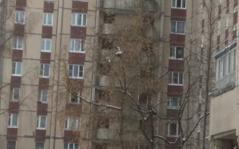 Ему было 39: в Пензе от падения с десятого этажа погиб человек