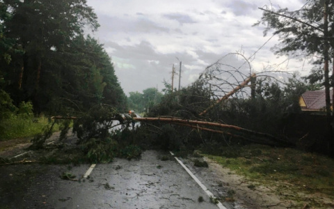 «Жара и грозы»: метеорологи озвучили прогноз для региона