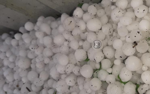 «Пельмени летали»: в Пензенской области показали последствия мощного града