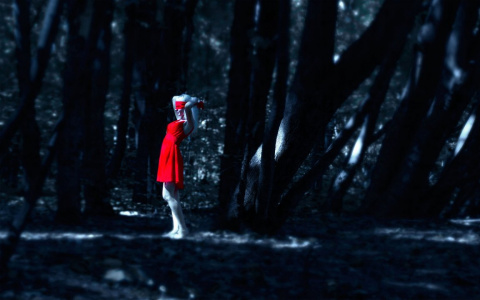 В Пензе остановлены поиски пропавшей 18-летней девушки