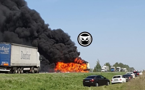 Водитель фуры сгорел заживо в ДТП рядом с Пензенской областью – видео