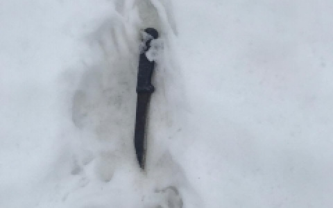 В Пензенской области 45-летний мужчина обвиняется в убийстве и кражах