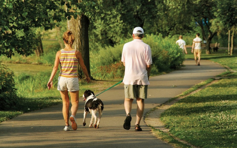 Из-за майских праздников у россиян хотят отнять Новый год