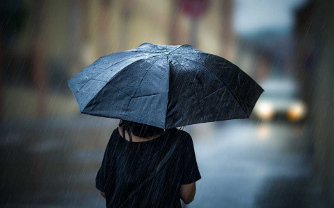 «Вернутся дожди»: синоптики рассказали прогноз погоды в регионе