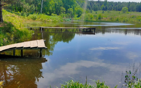 Пензенские следователи начали проверку по факту гибели мужчины в водоёме