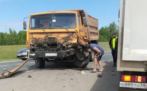 В ГИБДД рассказали о погибшем и пострадавших в жуткой аварии под Пензой