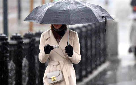 «Дожди и мощный ветер»: метеорологи озвучили прогноз погоды в регионе