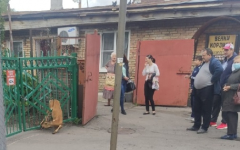 В заборе 44-ой пензенской школы застряла косуля