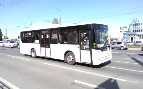В Пензенской области выявили нарушения при установлении тарифов на перевозки
