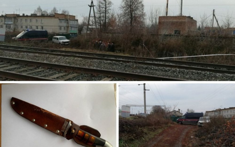 Школьники-звери, любовный треугольник... Самые страшные преступления Пензенской области с начала 2000-х