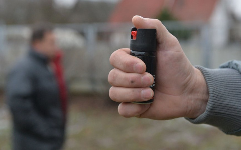 «Услышала крики»: в Пензе на женщину с доберманом напали с газовым баллончиком