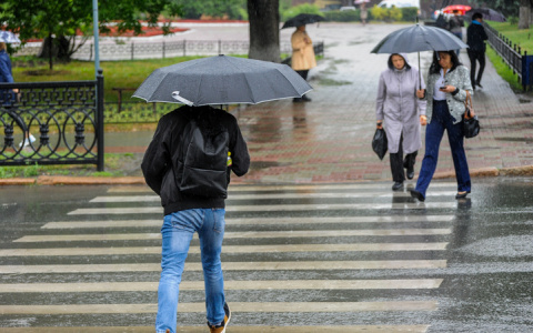 Готовьте зонтики! Синоптики объявили прогноз погоды в регионе