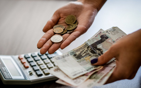 В Пензастате рассказали, почему не раскрывают актуальные сведения о доходах пензенцев