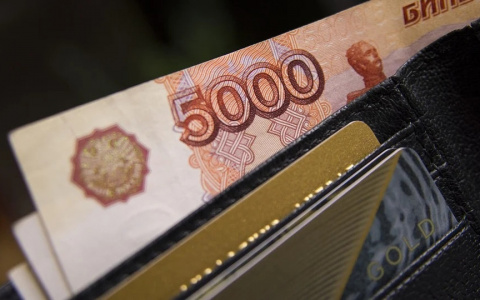 Около 50 млн рублей от государства получат организации Пензы