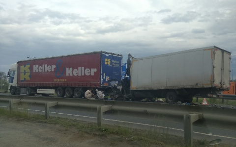 На трассе под Пензой произошла смертельная авария с грузовиками – подробности