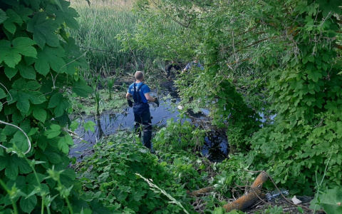 В Пензенской области тело пропавшего без вести нашли в водоеме