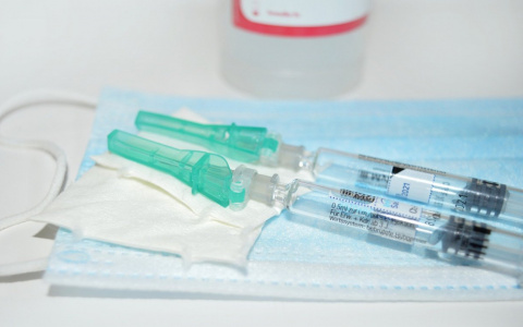 Купивших фейковый сертификат о вакцинации ждёт уголовная ответственность