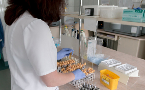 Суточное число погибших от коронавируса в Пензенской области не снижается