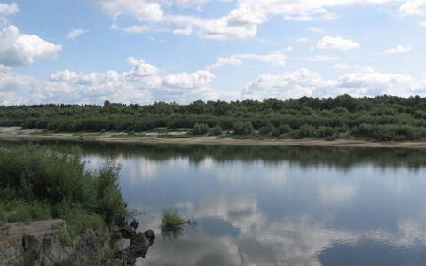 В Пензенской области за выходные во время купания погибли пять человек