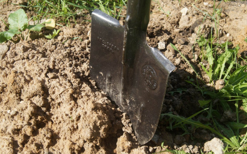 В Пензенской области сын избил мать лопатой и кулаками из-за нехватки денег