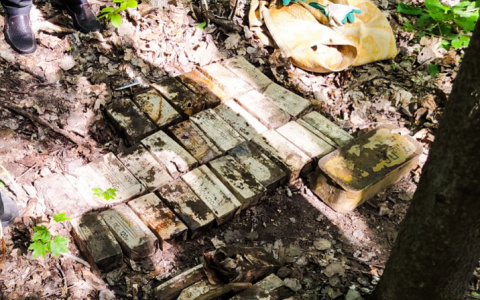 Под Пензой в лесу нашли около 7 тысяч патронов