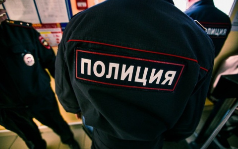 Под Пензой женщина защищала сына и ударила полицейского в пах