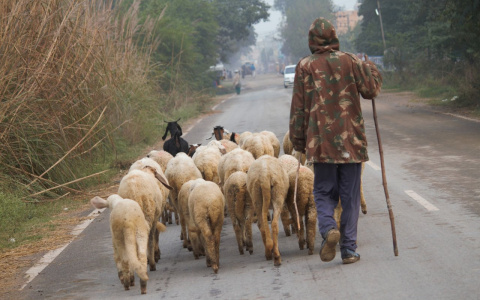 В Пензенской области зафиксированы одни из самых низких доходов населения