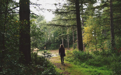 Поиски пропавшего 17-летнего подростка остановлены: подробности